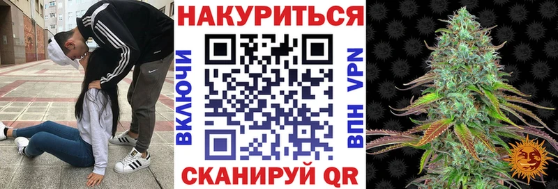 цена   Горячеводский  Конопля ГИДРОПОН 
